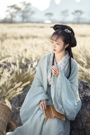 唐僧大战女儿国国王免费观看